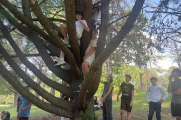 527982377_1099762772251434_4903743961528397478_n